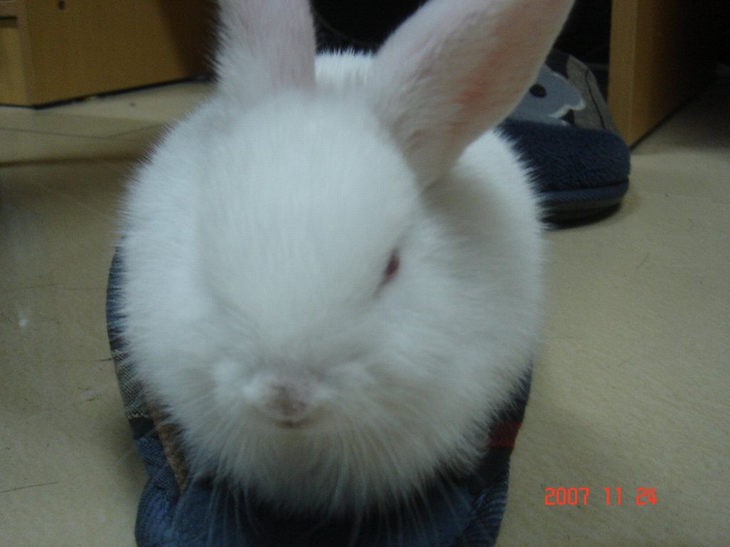 DSC01951.JPG