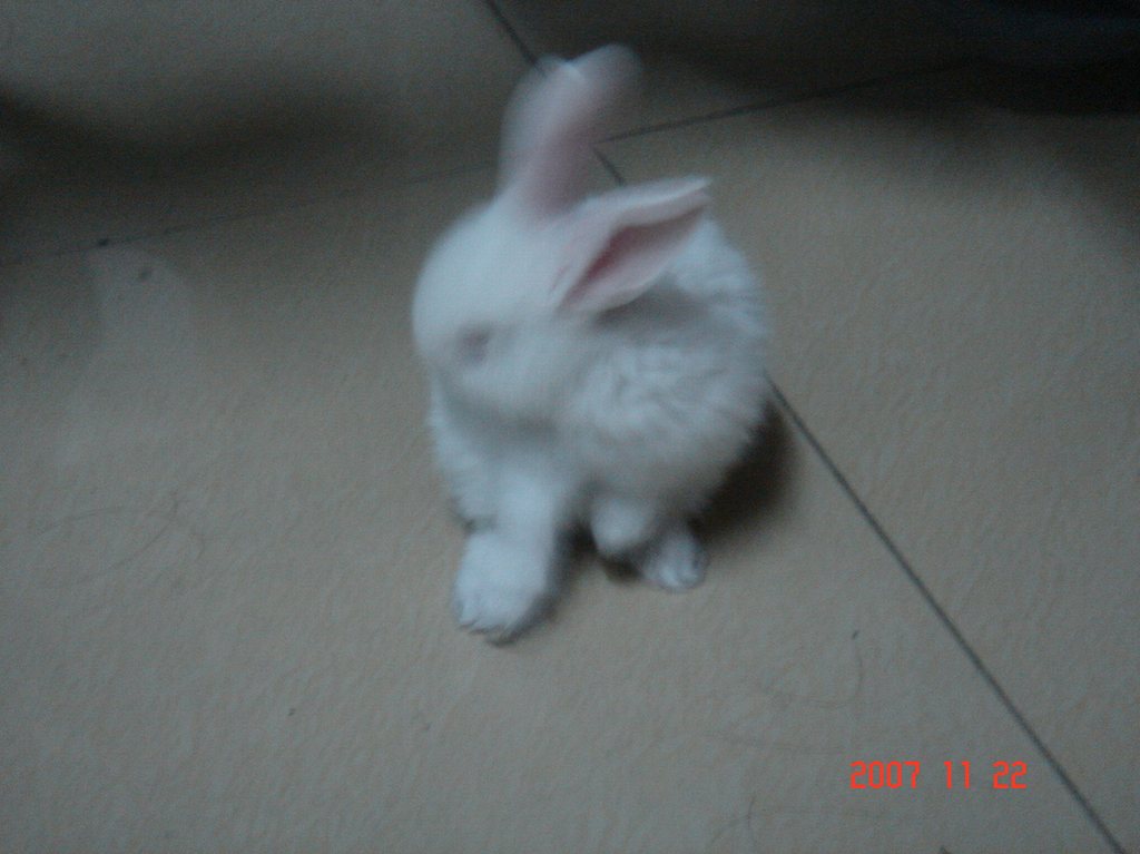 DSC01946.JPG