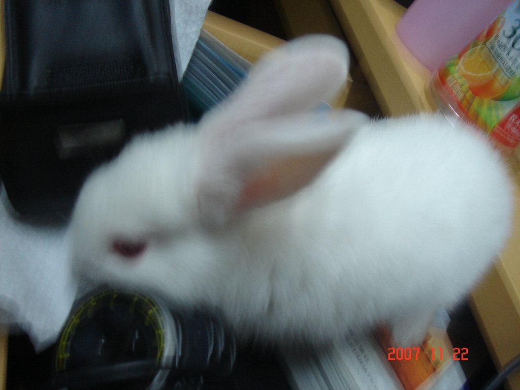 DSC01945.JPG