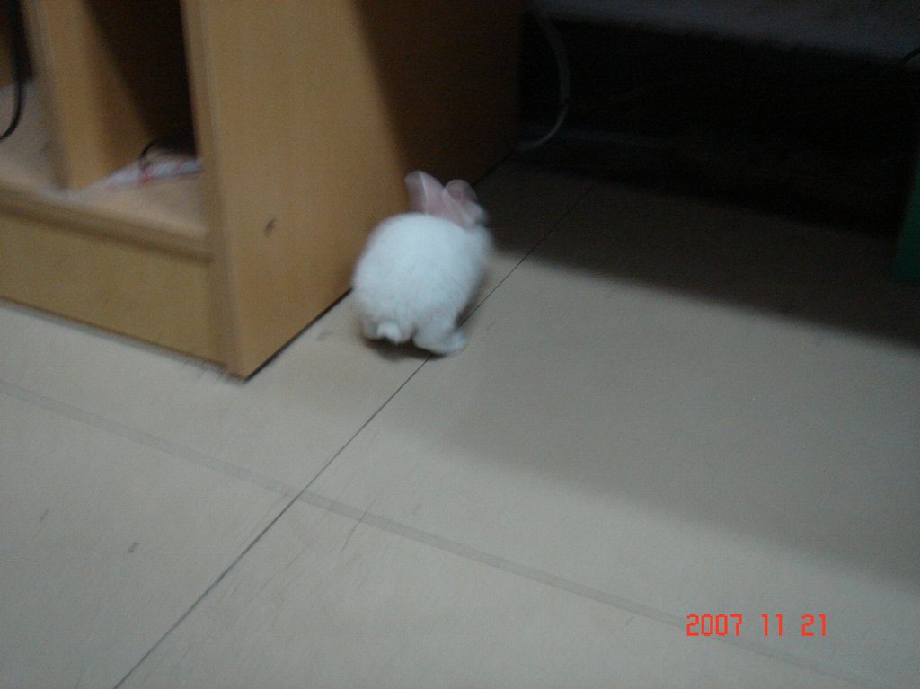 DSC01936.JPG