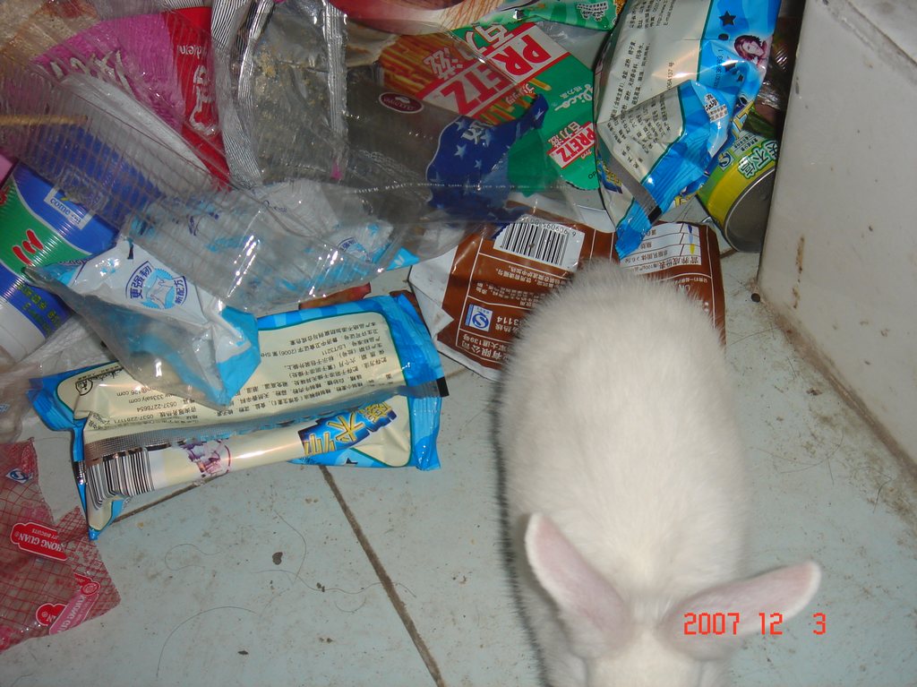 DSC01968.JPG