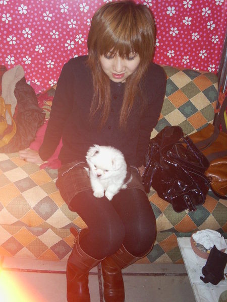 ��ҹ����MMǿ�ƻع飨�����գ�