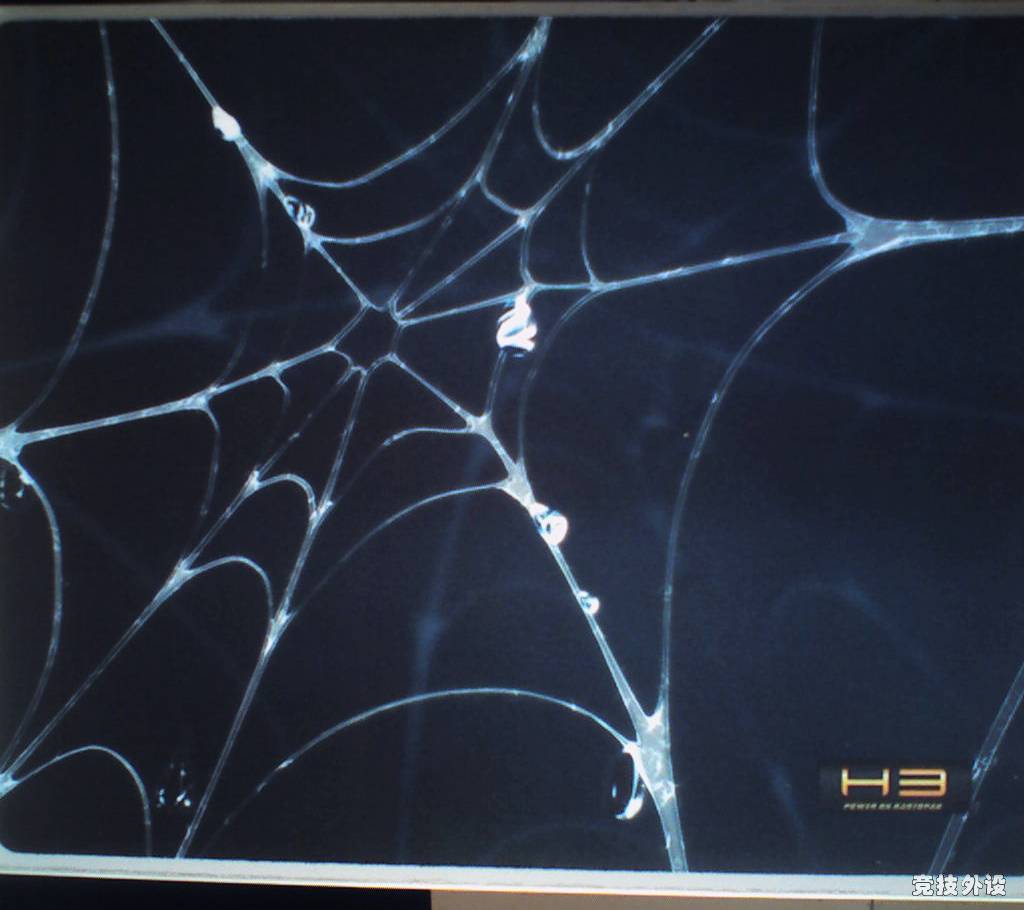 ���ջ󡿱����Ʒ���...�����յ���...87¥����ͼ��...