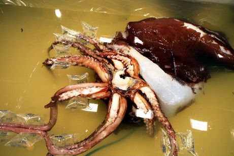 ���ڵڰ�λ�������ž�������ͼ������4��30�գ���ѧ��������������ݵ�һ�ο��������ֺ��ѱ����ֵ�������� ...