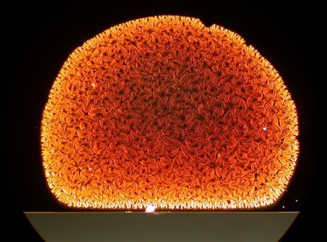 ���ڵھ�λ����������΢���³����ͼƬ������ͼƬ��2008΢��������΢����Ӱ������Ӯ���˴󽱡������������ ...