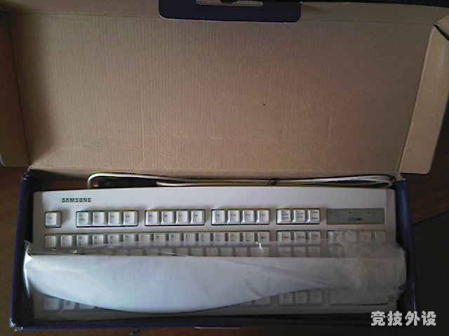 Ƭ-0166.jpg