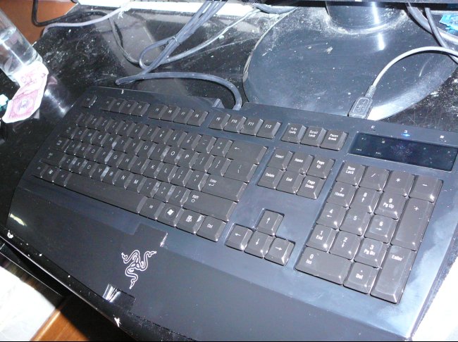 �ڸ����� �����...����..