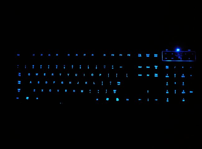 �ڸ����� �����...����..