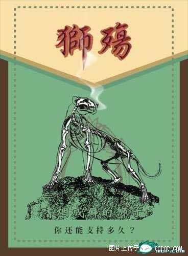 ���ջ����˲��������Ľ��̹��...