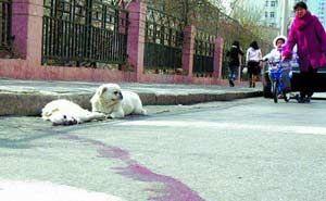 ���ջ�����ѡ08�ж��й�ʮ���� ����ǿ���...