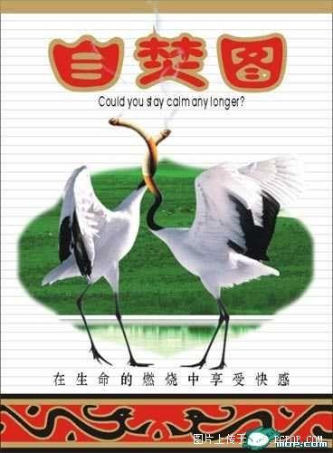 ���ջ����˲��������Ľ��̹��...