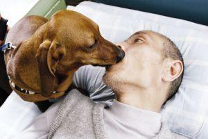 ���ջ�����ѡ08�ж��й�ʮ���� ����ǿ���...