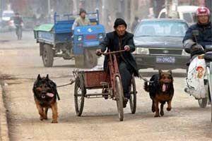 ���ջ�����ѡ08�ж��й�ʮ���� ����ǿ���...