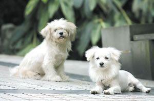 ���ջ�����ѡ08�ж��й�ʮ���� ����ǿ���...