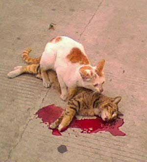 ���ջ�����ѡ08�ж��й�ʮ���� ����ǿ���...