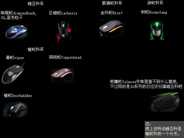 all111.jpg
