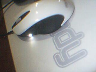 ͼƬ 003.jpg