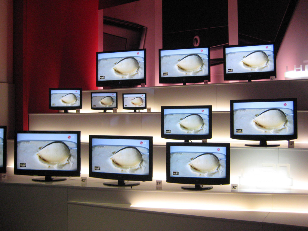 lg (10).JPG