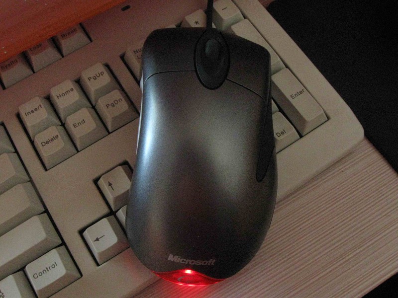 img003.jpg
