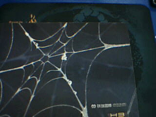 Ы�������֣���һʱ�������⡣���Ѹ��º�RAZER�ٿصĶԱȣ�