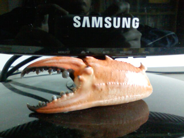 ս��Ʒ������