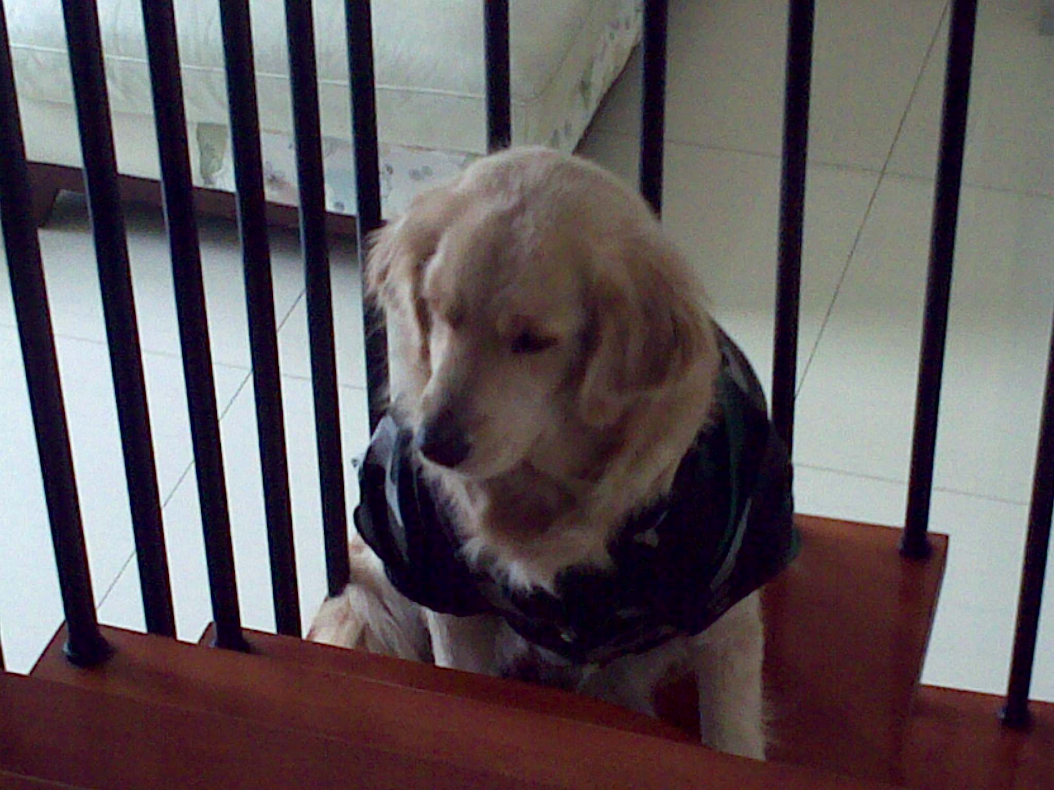 20090112055.jpg