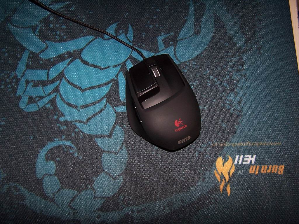 ���������ϵ�����������