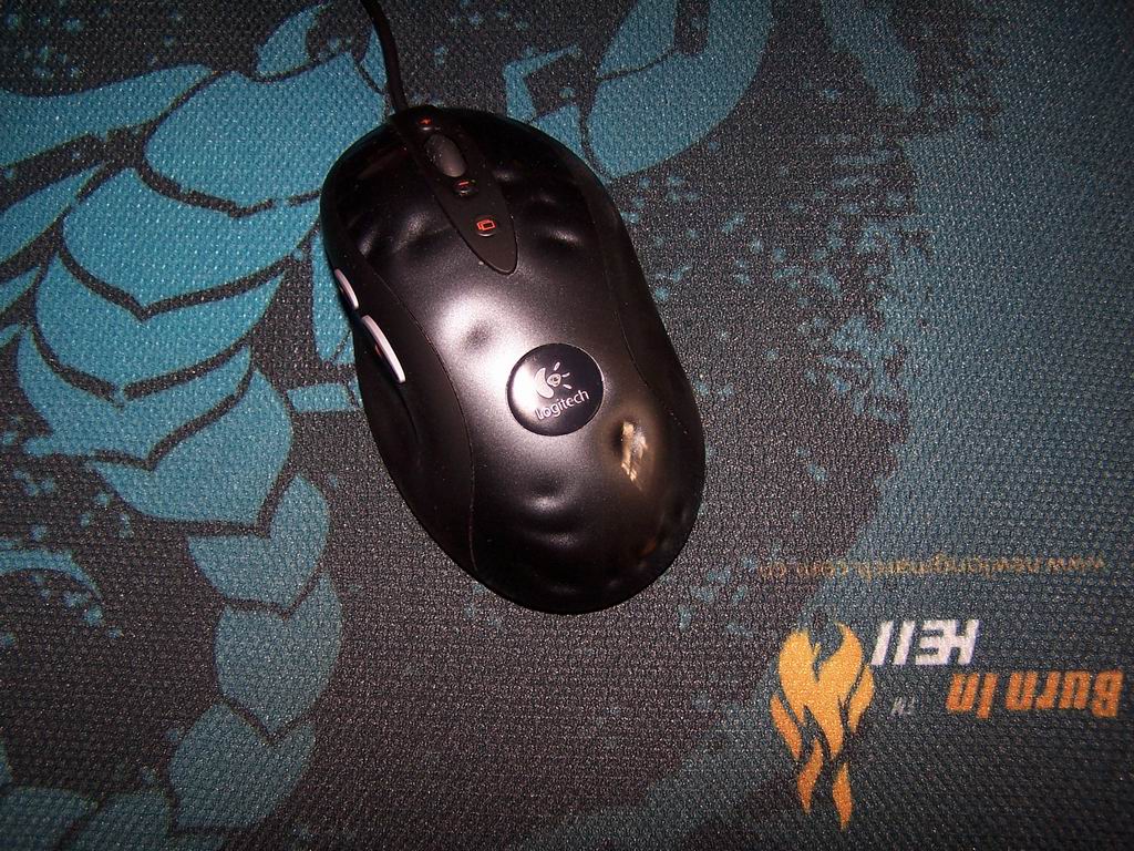 ���������ϵ�����������