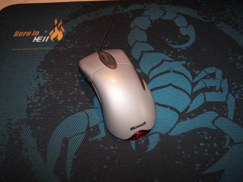 ���������ϵ�����������