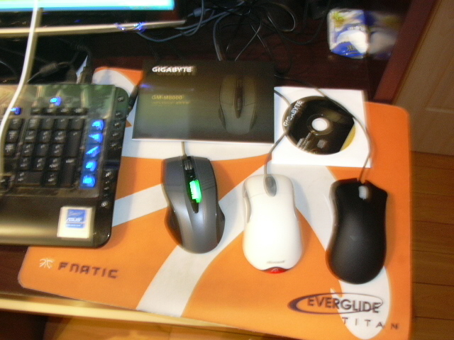 DSCN0229.JPG