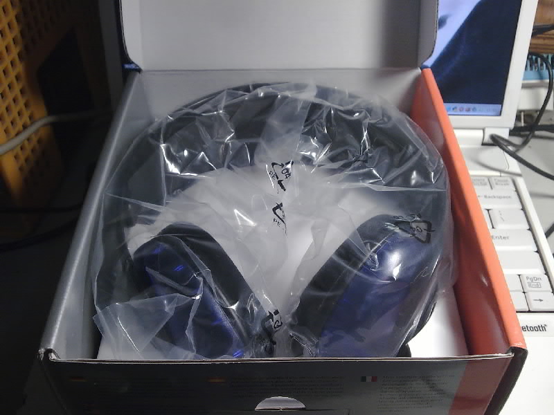 DT231��MINI AUDIO D2���Ž��쵽��...��������...