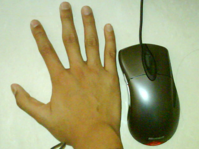 ����񵽵�IE3