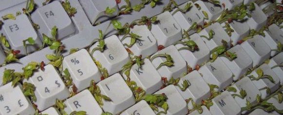 KB