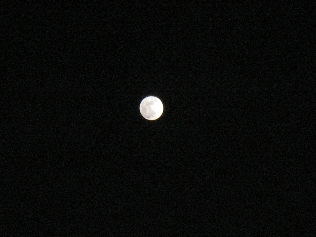 IMG_0186.jpg