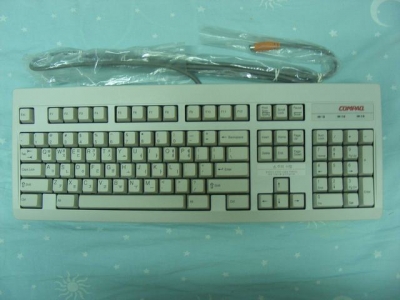 COMPAQ  RT101