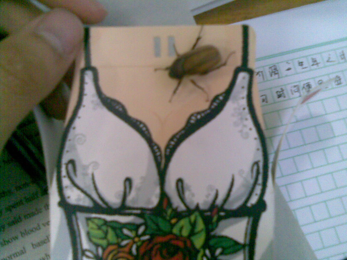 20090220(003).jpg