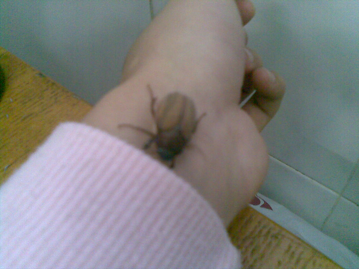 20090220.jpg