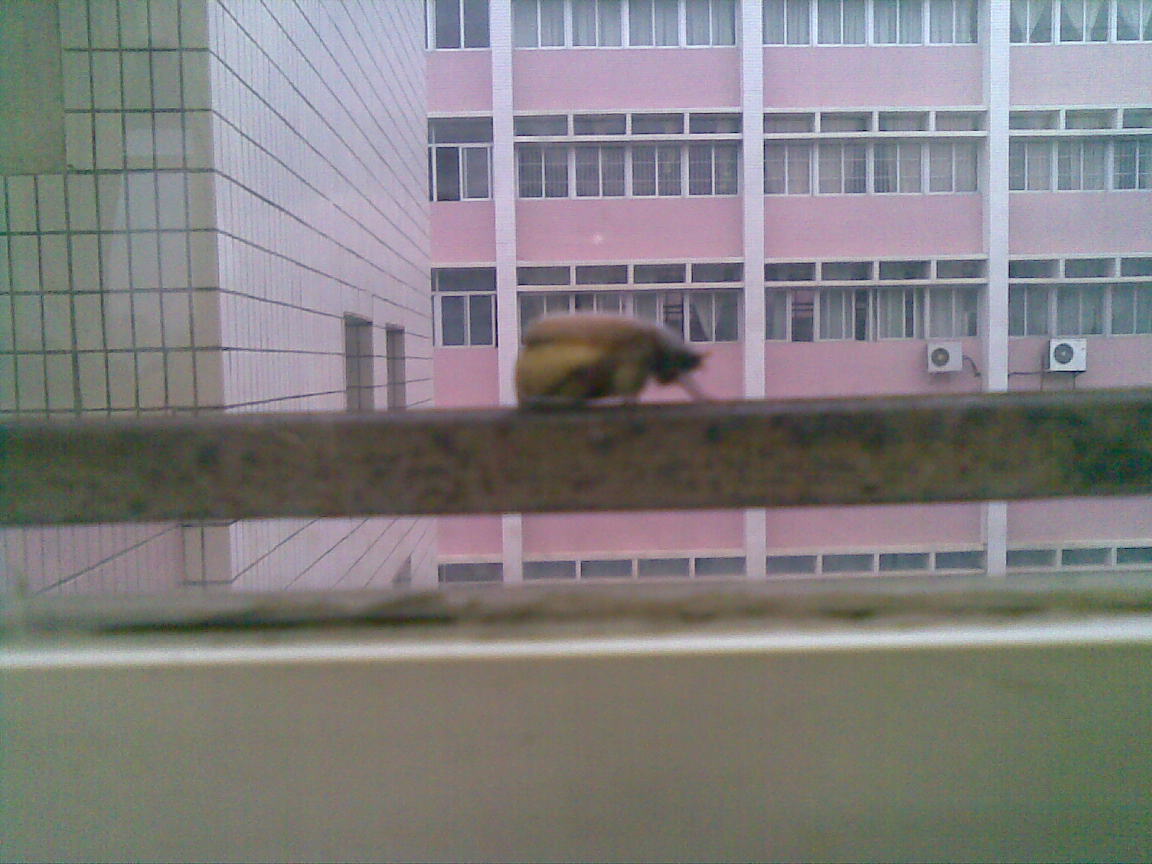 20090220(005).jpg