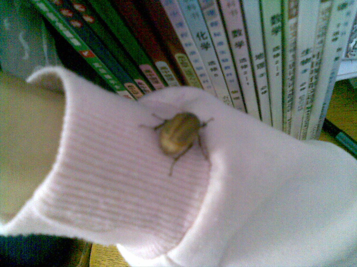 20090220(002).jpg