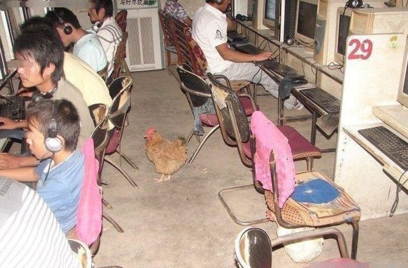 ȥ���ɴ�CS�ʺ���ʲô��ꣿ��