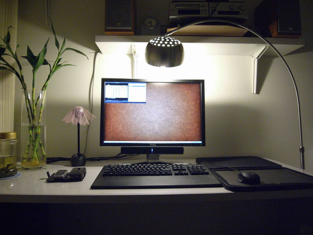 Ӳ��������ȥ����ƭ�Լ�