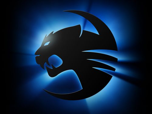 עļ۸ͼ£RM-ңROCCATָ㣡