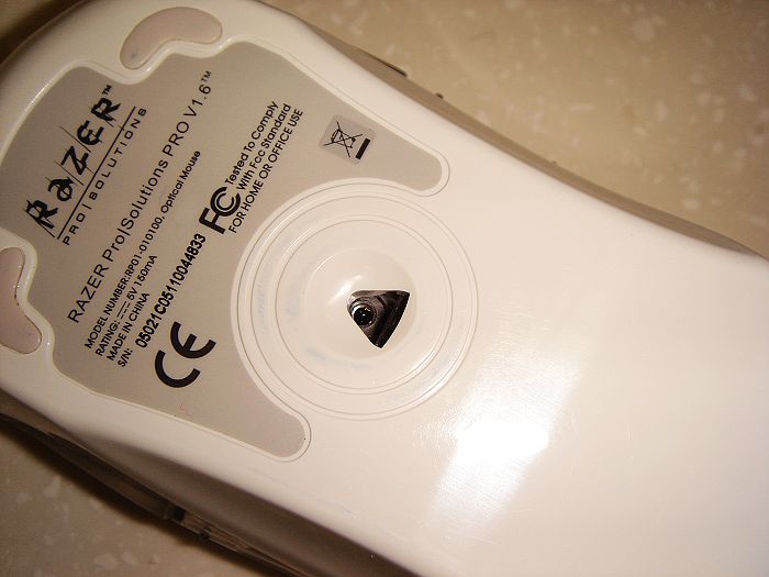 �����˰�ɫ��β�ߣ��ײ���Ȼ����ɫ�ۼ���������~