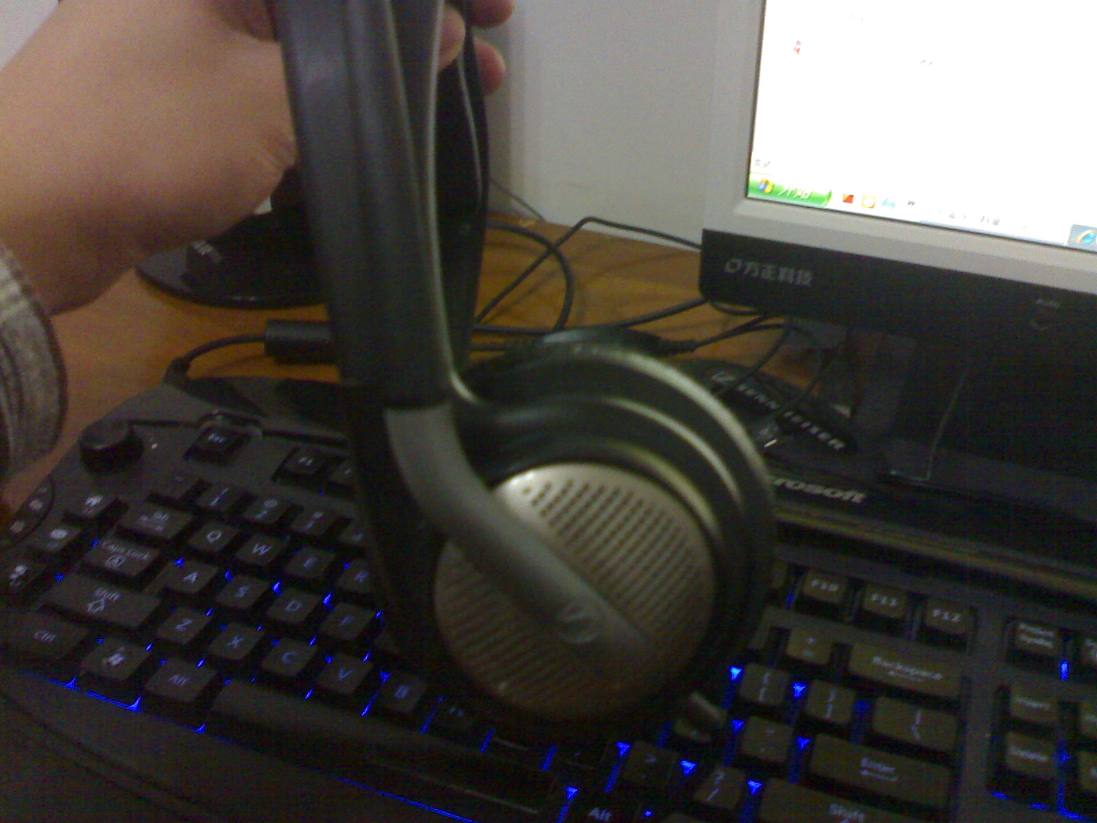 20090305163.jpg