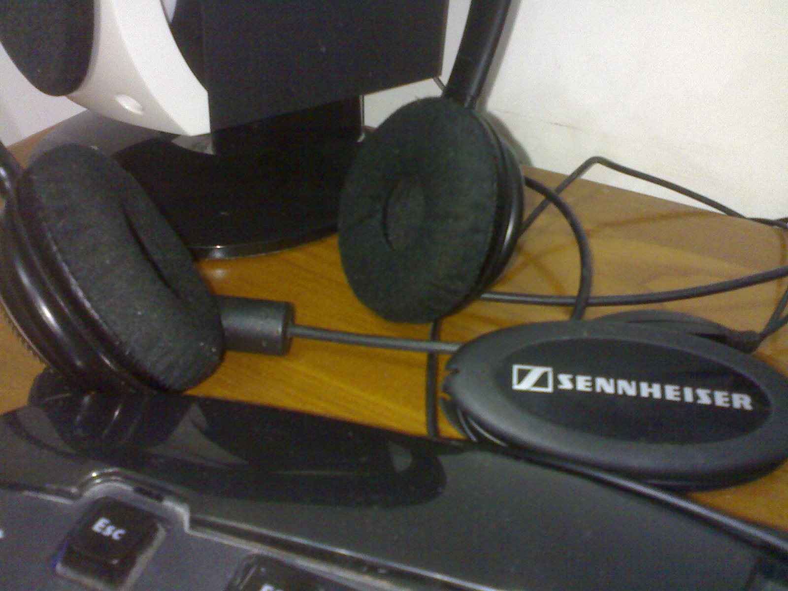 20090305165.jpg