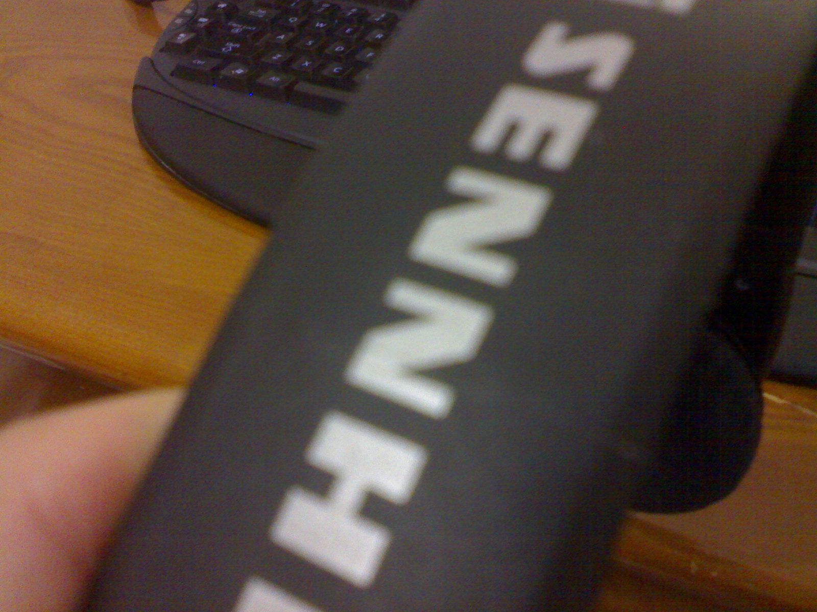 20090306171.jpg