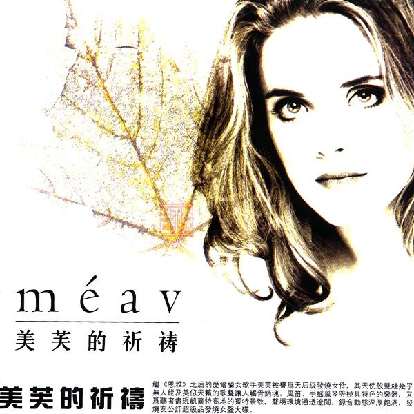 ΰ��ķ�����2000G+��APE���֣�rayfile����