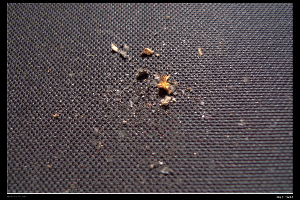 ����ȵ�����ʹ��С��Zowie P-RF����