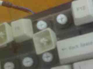 XY088.jpg