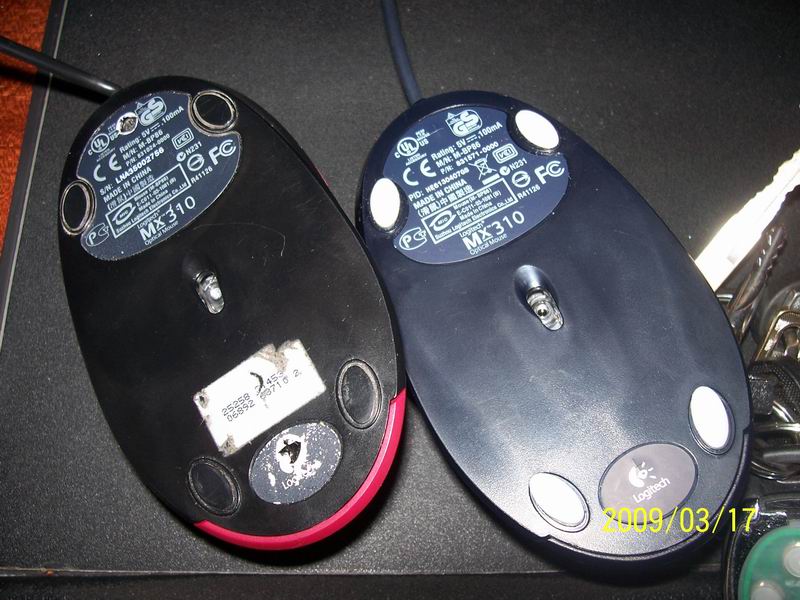 ������ô�ҵ�MXʬ����